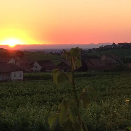 Gite Le Mandlé Riquewihr Exterior foto