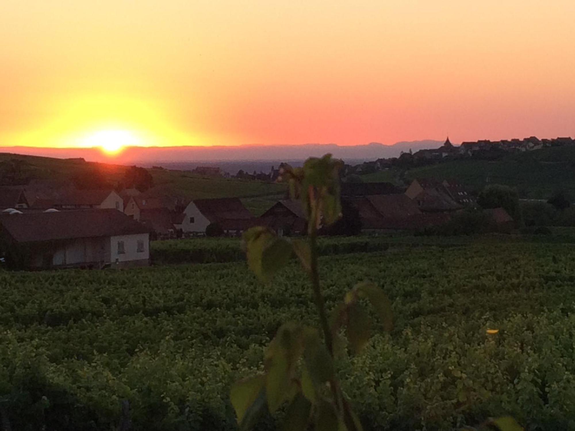 Gite Le Mandlé Riquewihr Exterior foto