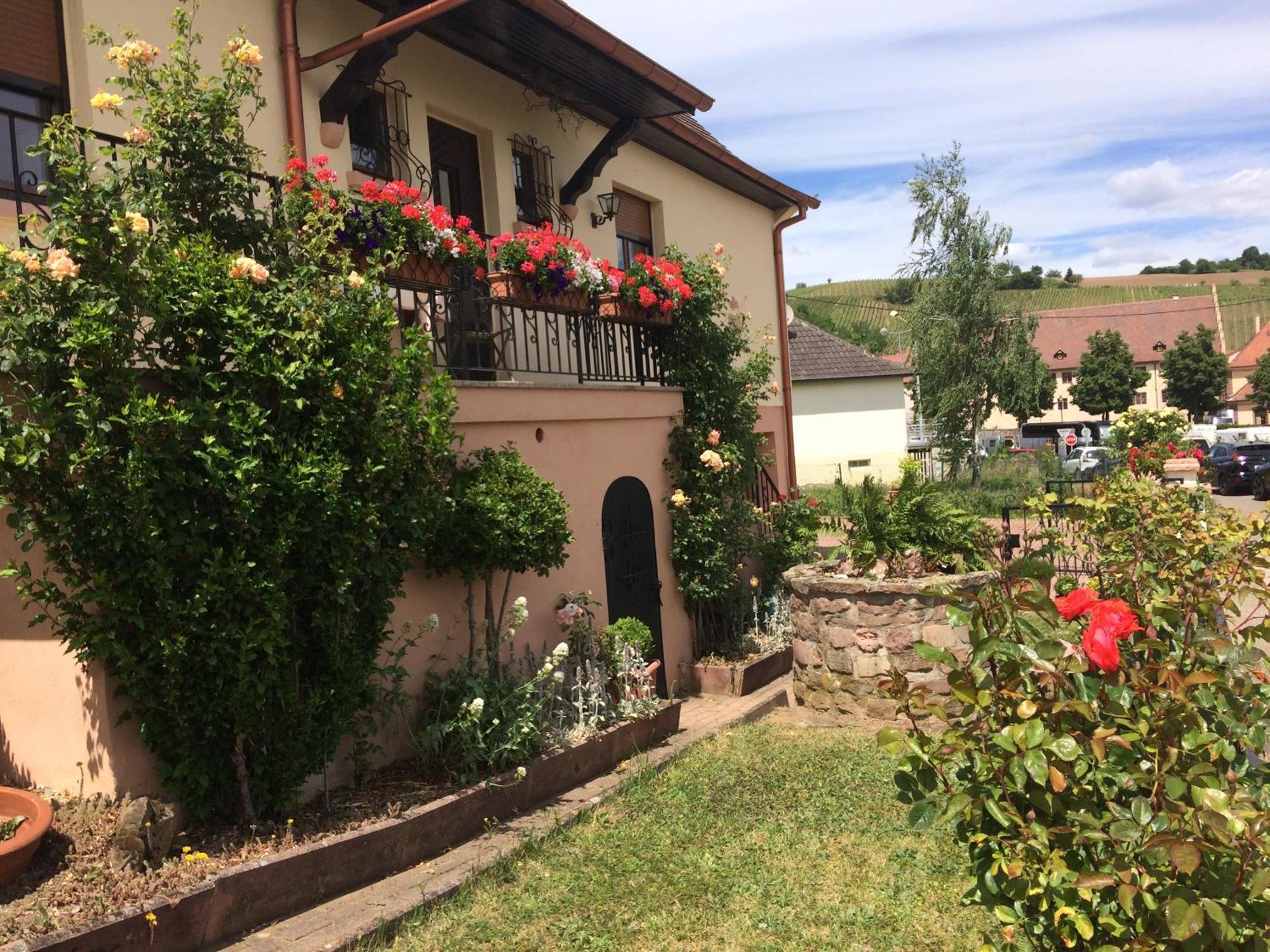 Gite Le Mandlé Riquewihr Exterior foto
